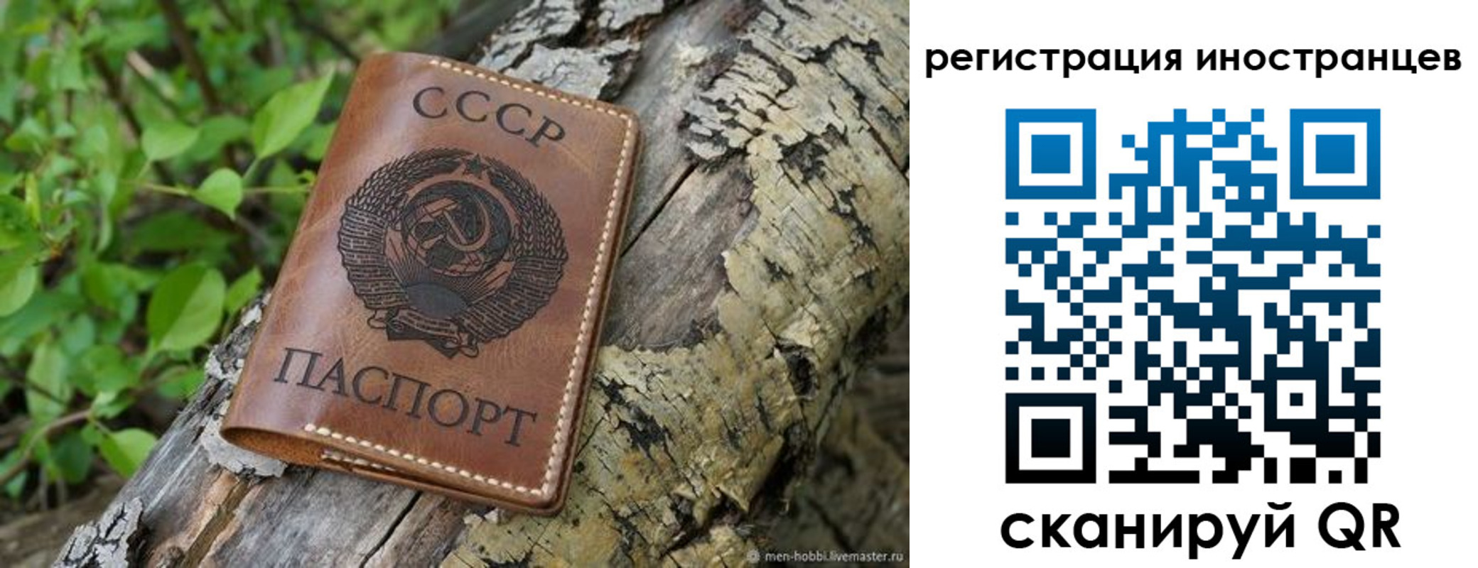временная регистрация в Шилке